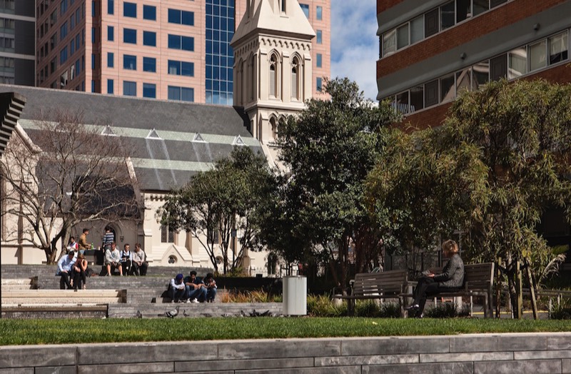 Large grade trees supplied and installed, St Patricks Square, Auckland